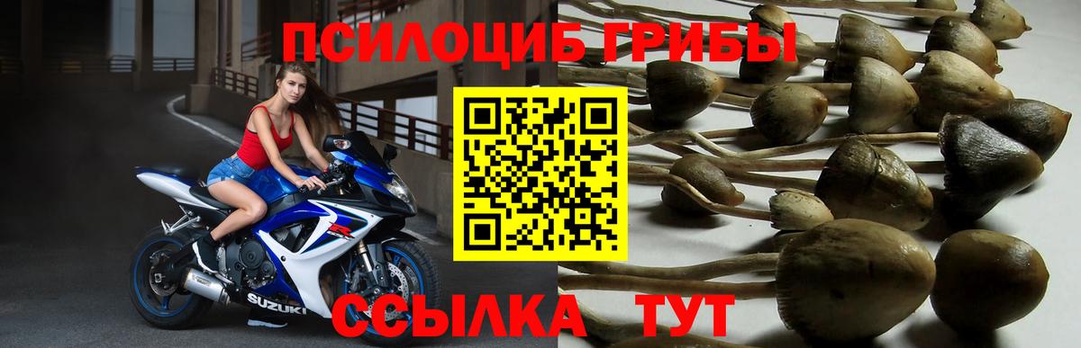 Галлюциногенные грибы мицелий Рубцовск